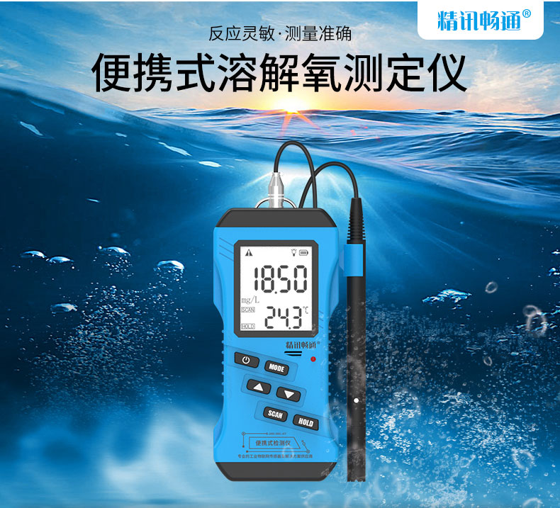 工業(yè)級便攜式溶解氧儀